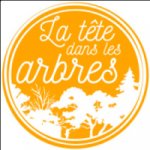 LA TETE DANS LES ARBRES  SASU