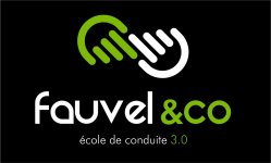 FAUVEL AND CO