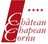 CHATEAU DE CHAPEAU CORNU