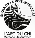 CENTRE INT VLADY STEVANOVITCH DOMAINE DE SAINT