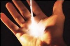 L'ENCHANTEMENT DES SENS