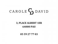 L'INSTITUT ET L'ACADÉMIE CAROLE DAVID