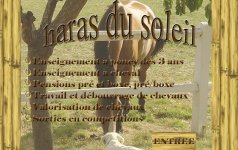 HARAS DU SOLEIL