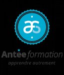 ANTEE FORMATION