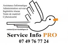 SERVICE INFO PRO