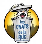 LES CHATS DE LA RUE