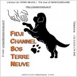 FIDJI CHANNEL - SOS TERRE NEUVE