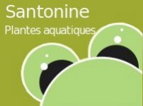 SANTONINE