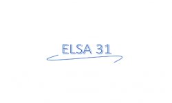 ELSA 31