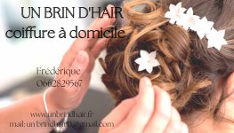 UN BRIN D'HAIR