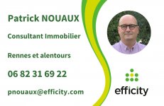 NOUAUX CONSULTANT IMMOBILIER EFFICITY