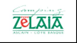 CAMPING ZELAIA