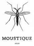 MOUSTIQUE