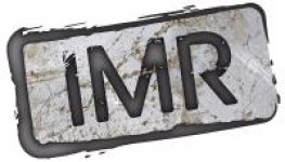 INSTITUT DES MUSIQUES ROCK