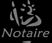 SANIAL LIONEL SELARL