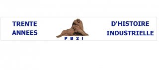 PATRIMOINE BELFORTAIN DE L INDUSTRIE INFORMAT