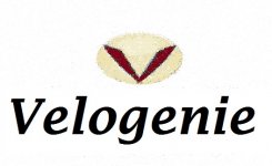 VELOGENIE, LOCATION, RÉPARATION ET VENTE DE VÉLOS