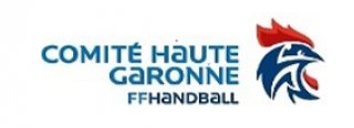 COMITE HAUTE GARONNE DE HANDBALL