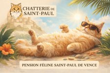 CHATTERIE DE SAINT PAUL