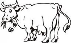 LE MANOIR AUX VACHES