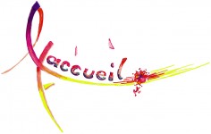 ASSOCIATION ACCUEIL EHPAD