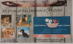 ELEVAGE DU JARDIN D'ARCOS/EDUCATION CANINE/BALNEO CANINE