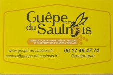 GUEPE DU SAULNOIS