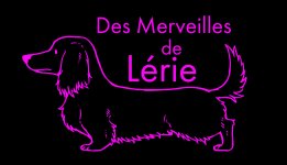 DES MERVEILLES DE LERIE