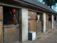 ECURIE DES CRINIERES AU VENT