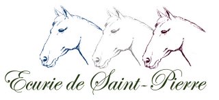 ECURIE DE SAINT- PIERRE