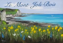 CAMPING LE MONT JOLI BOIS