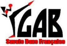 GANT D'ARGENT BRIVISTE