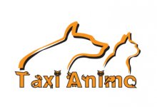 TAXI ANIMO
