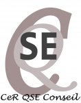 CER QSE CONSEIL