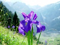 HOTEL RESTAURANT BAR LE TAILLON