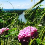 CAMPING DU PLAN D'EAU