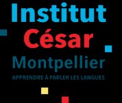 INSTITUT CESAR LANGUES