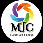 MJC FLEURIEUX EVEUX