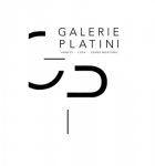 GALERIE D'ART SYLVIE PLATINI