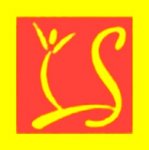 PAPAIDA - HOTEL DU CARRE