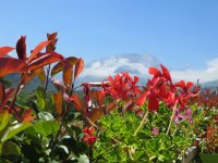 AUBERGE LES SAVEURS D'AZUN