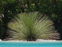 PERUZZO JARDINS SARL