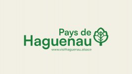 OFFICE DE TOURISME DU PAYS DE HAGUENAU
