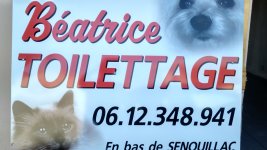 BEATRICE TOILETTAGE CHAT ET CHIEN