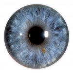 WEB DEVELOPPEMENT / WEB DESIGN