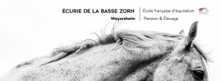 ECURIE DE LA BASSE ZORN