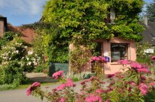ATELIER GALERIE DU BORD DE SEINE