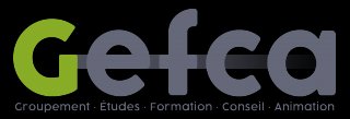 GEFCA