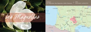 LES MAGNOLIAS