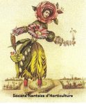 SOCIETE NANTAISE D'HORTICULTURE